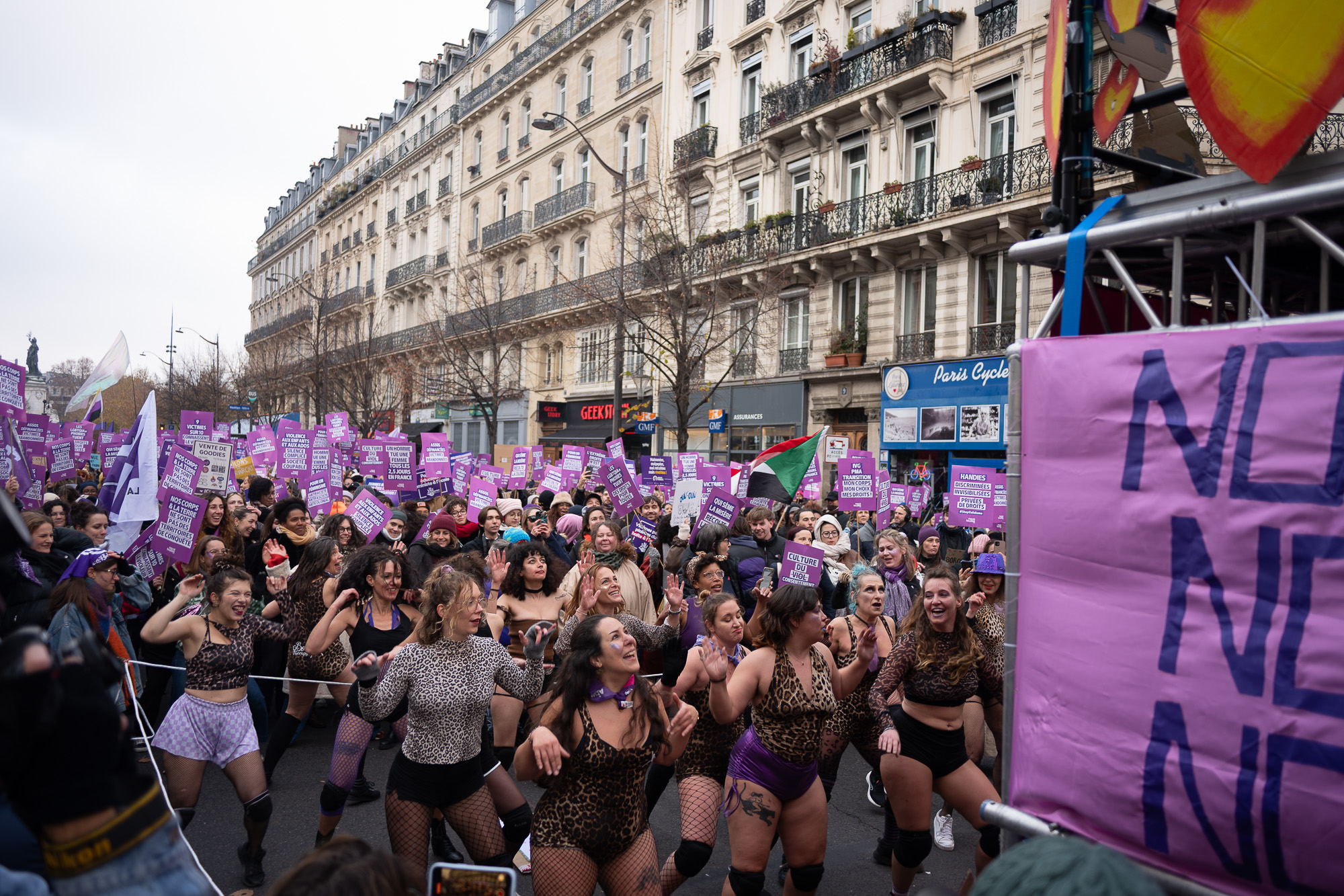 Demonstration marking the International Day for the Elimination of Violence against Women, Paris, November 2025.